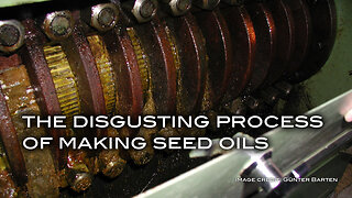 The Disgusting Process of Making Seed Oils