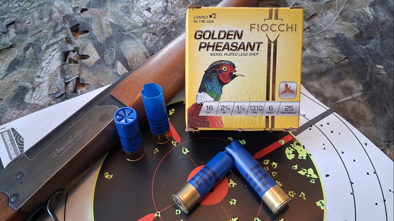 Fiocchi Golden Pheasant game loads, 16 gauge standard-length, number 6s.