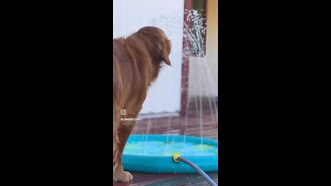 Dear Diary… the splash pad betrayed me 💦