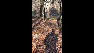 SHADOW WAVING AND BEAUTIFUL RIVER!