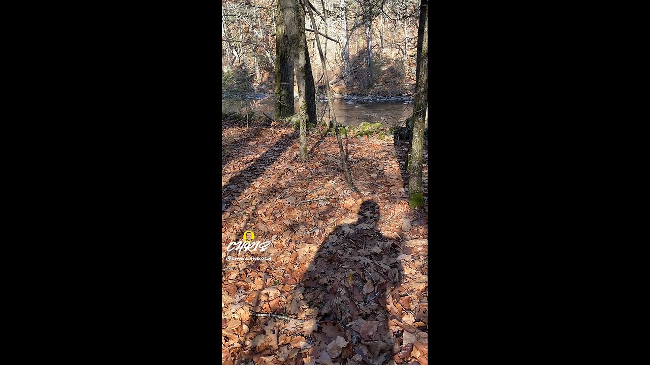 SHADOW WAVING AND BEAUTIFUL RIVER!