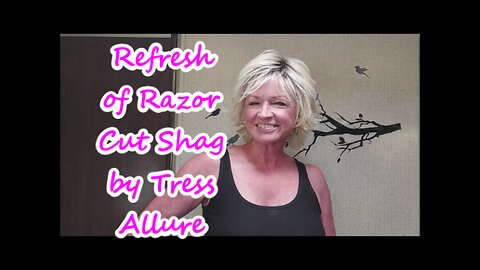 Wig Tutorial: Trimming the ends on Razor Cut Shag by Tress Allure for a Complete Refresh !!
