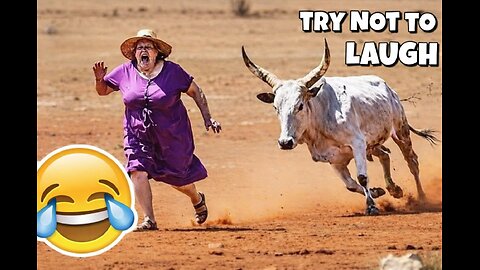 TRY NOT TO LAUGH (IMPOSSIBLE) 😂 | INSANE MEMES 24/7 | INTERNET OUT OF CONTROL