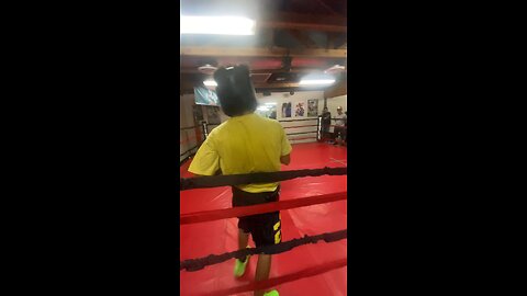 Boxing Sparring Footage