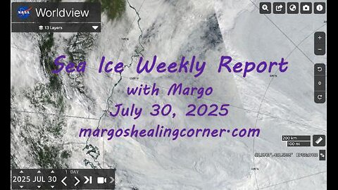 Sea Ice Weekly Report with Margo (July 30, 2025)