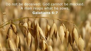 Galatians 6 : God is Not Mocked - You Reap What You Sow