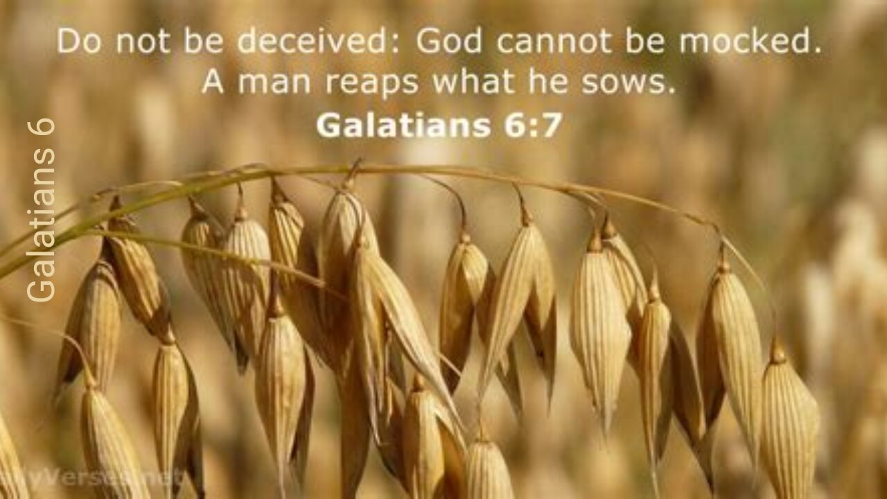 Galatians 6 : God is Not Mocked - You Reap What You Sow