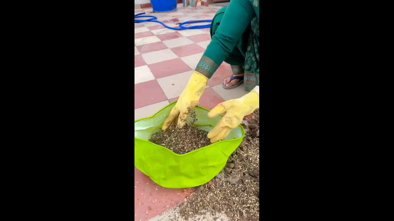 HOW TO GROW VEGETABLES SEEDS APRIL THE SEEDS TIME BESTIE