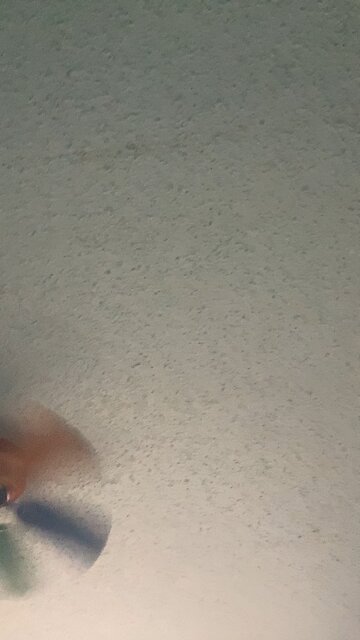 Alien’s catchphrase