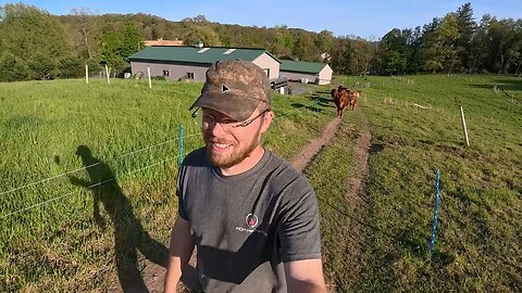 Fighting back BRUSH, HEATED Cow, Irrigation troubles continue