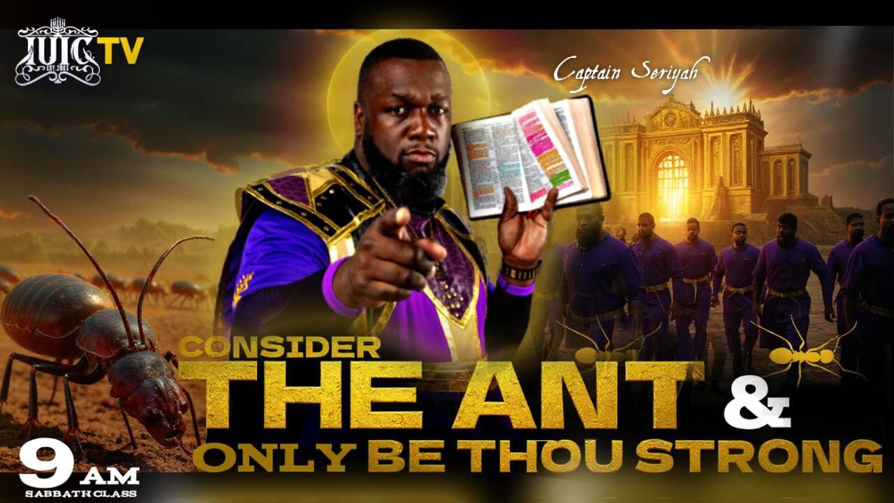 CONSIDER THE ANT & ONLY BE THOU STRONG