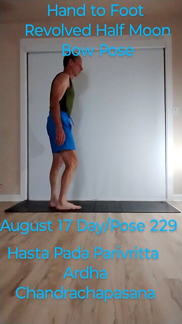Hasta Pada Parivritta Ardha Chandrachapasana / Hand to Foot Revolved Half Moon Bow Pose
