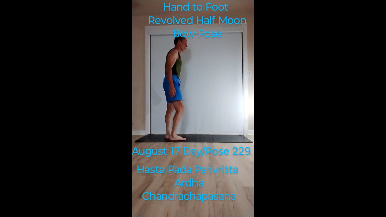 Hasta Pada Parivritta Ardha Chandrachapasana / Hand to Foot Revolved Half Moon Bow Pose
