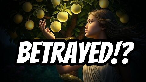 Episode 7: "Why are We so Flawed?"