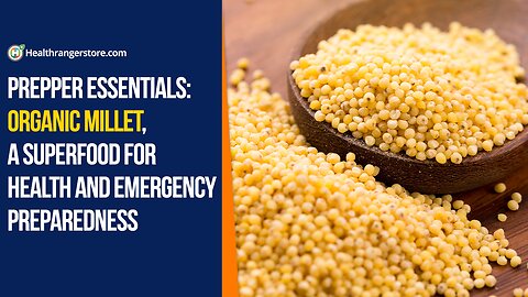 : Prepper essentials: Organic Millet, a superfood for health and emergency preparedness