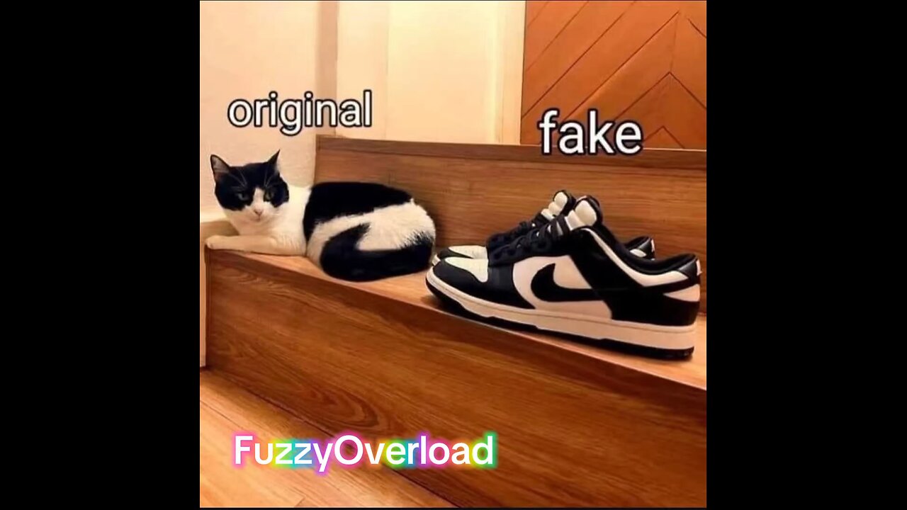 Nothing like the real thing