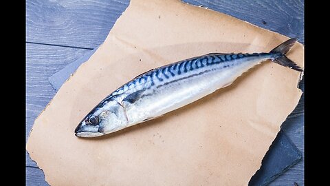 How To Revive a Fish