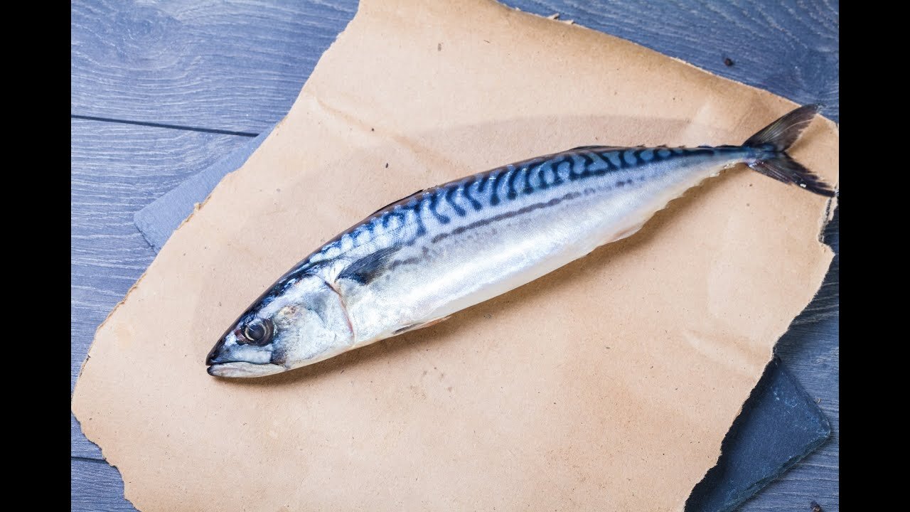 How To Revive a Fish