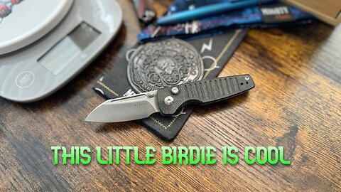Kizer Parakeet review. A cool little companion