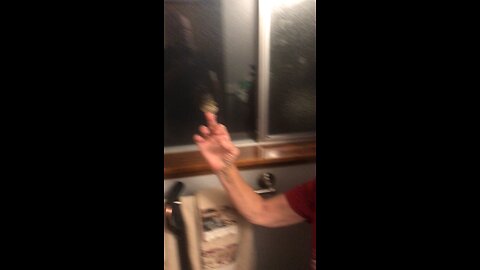 Jan saving a young bird