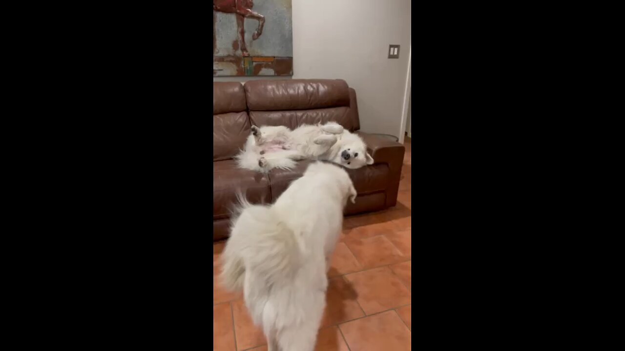 They can’t be anymore cute.