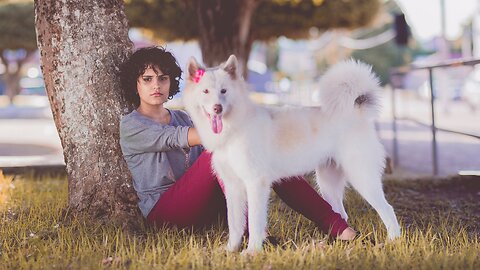 8 in 10 dog owners swear their pet's personality mirrors their own