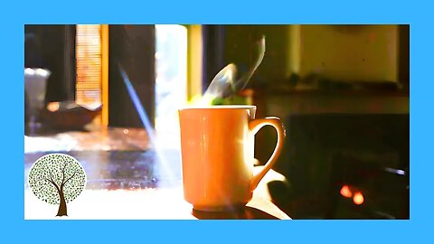 The most effective music to start your day | Morning Jazz 🎷 Jazz Relaxing Music