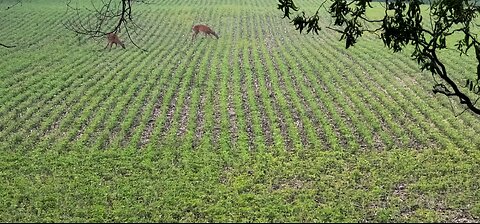 Saturday evening plans