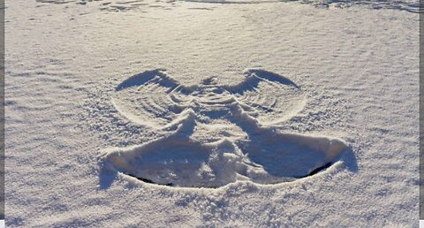 Snow Angels in Houston. January 1998