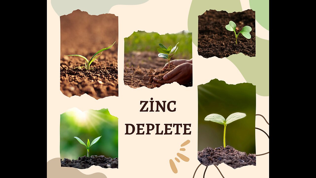 things that DEPLETE ZINC