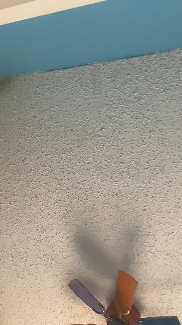 Good morning good night