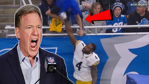 Steelers DK Metcalf facing MAJOR SUSPENSION after PUNCHING Lions fan during game!