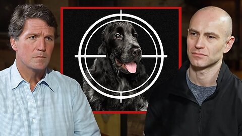 “Millions of Dogs Will Die” - Private Equity’s Emotional Blackmail of Your Pets