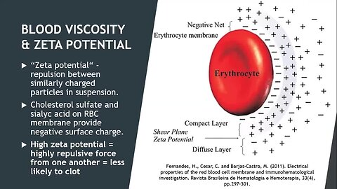 "Maintaining Blood Flow: Sulfation, EZ Water, and Red Blood Cells"