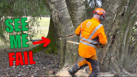I Misjudged This Tree and FAILED… Learn To Avoid This COSTLY Mistake