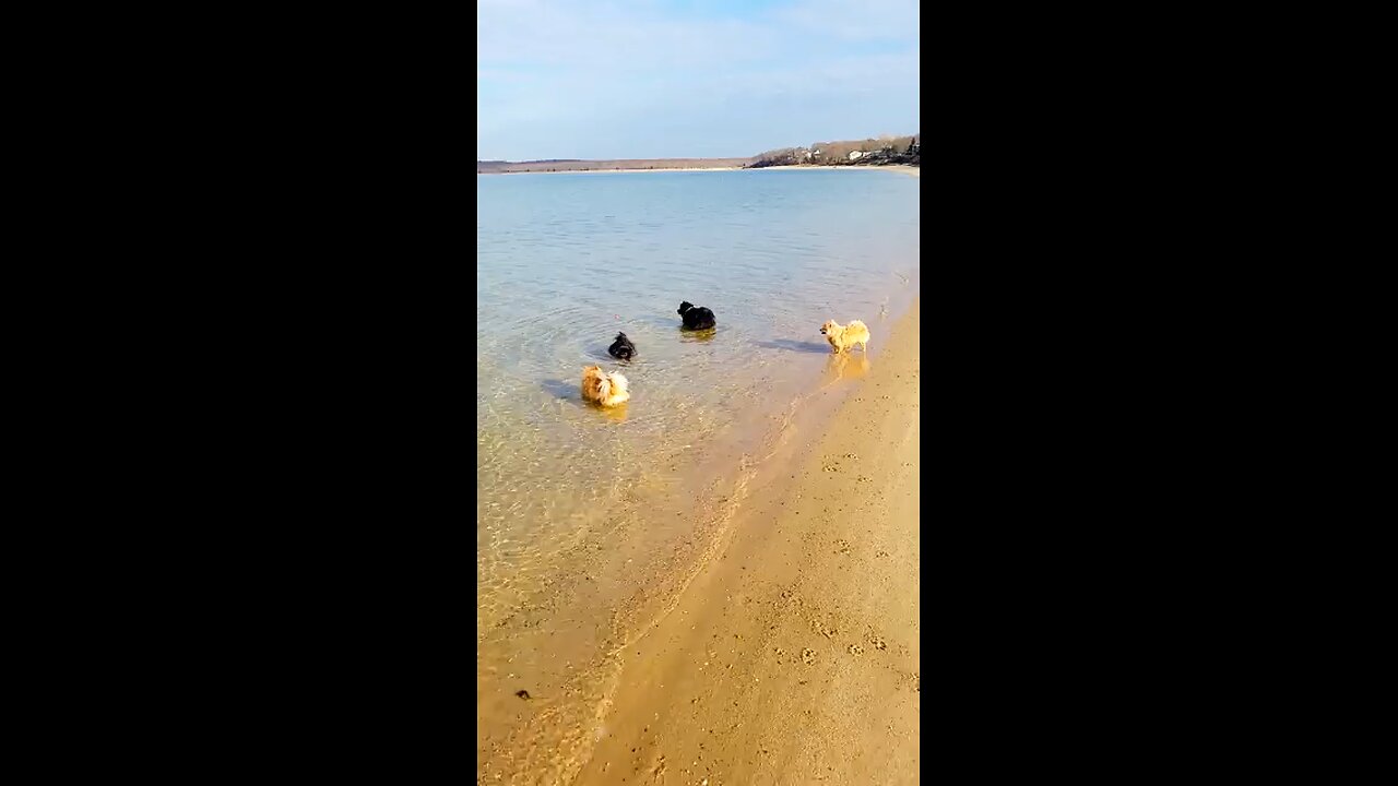 Who told him that rinsing the sand off the ball was necessary? Taking a page from his sist