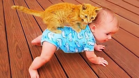 Funny Cat and Cute Baby