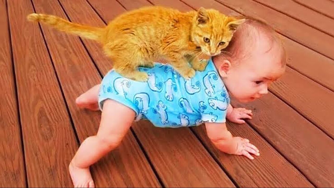 Funny Cat and Cute Baby