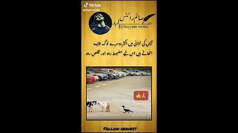 follow request