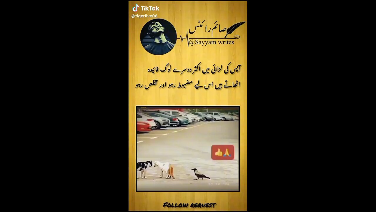 follow request