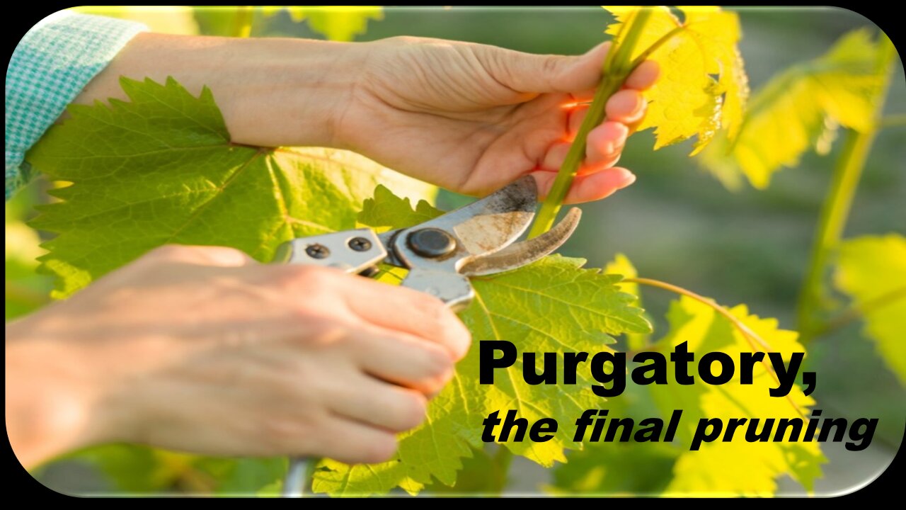Purgatory: A final Pruning?