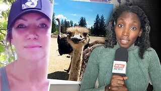 Ostrich farm claims military grade helicopters scouting farm