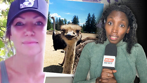 Ostrich farm claims military grade helicopters scouting farm