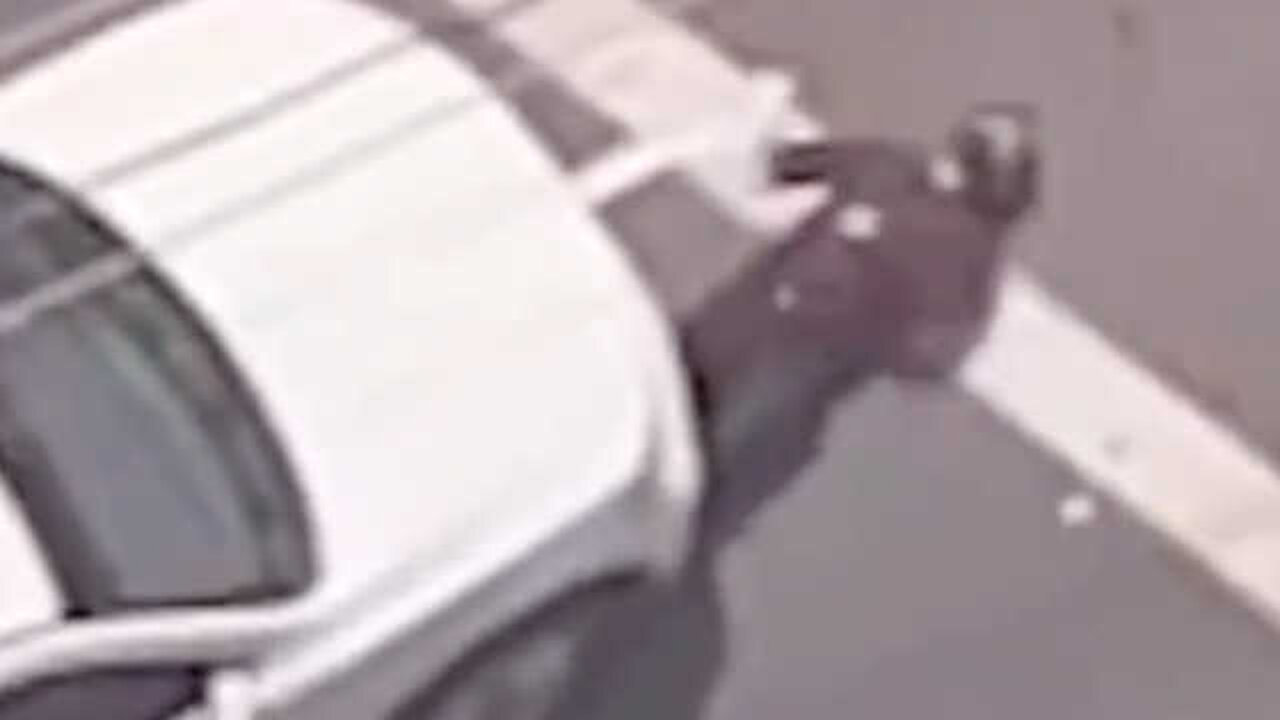 Antifa Trying Stop ICE Gets His Head Cracked Open on Pavement