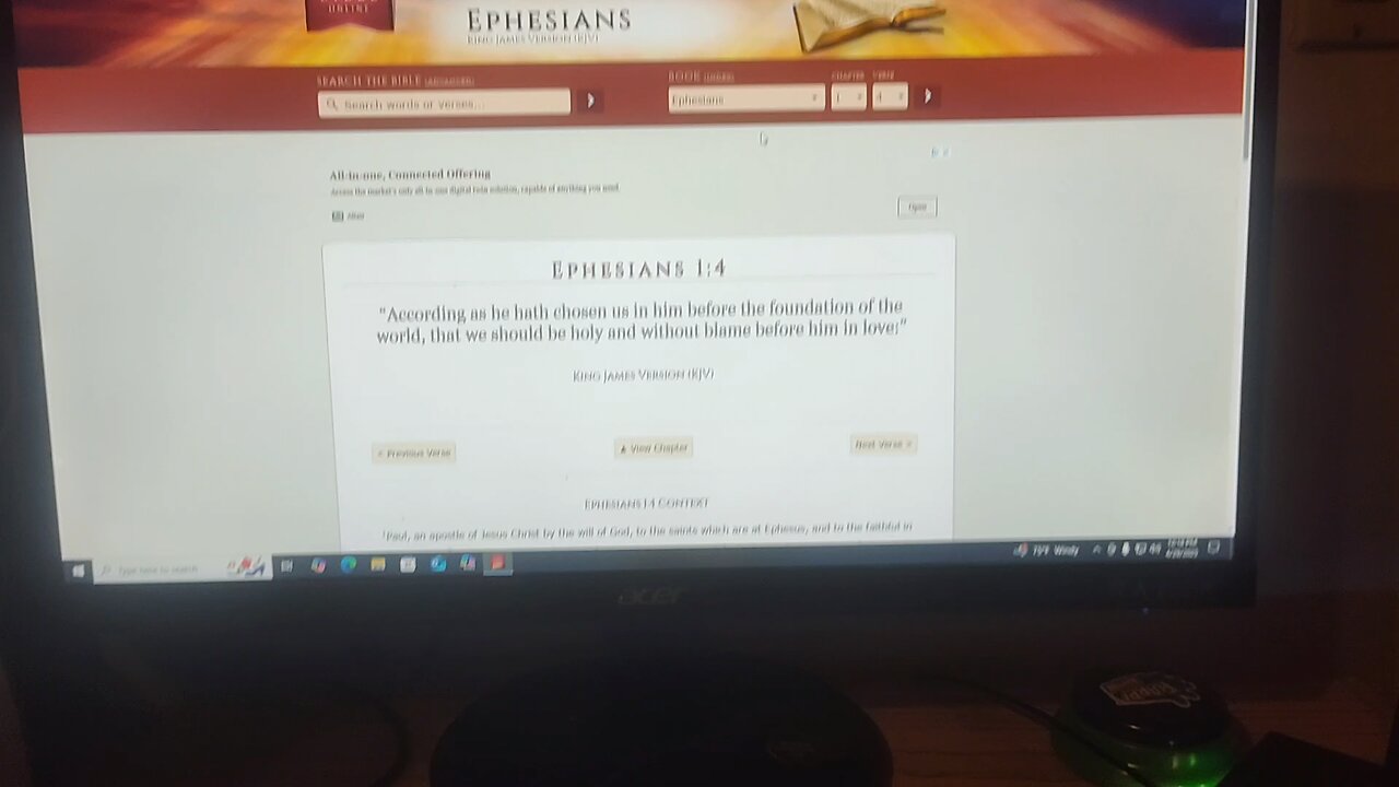 The Adoption Process