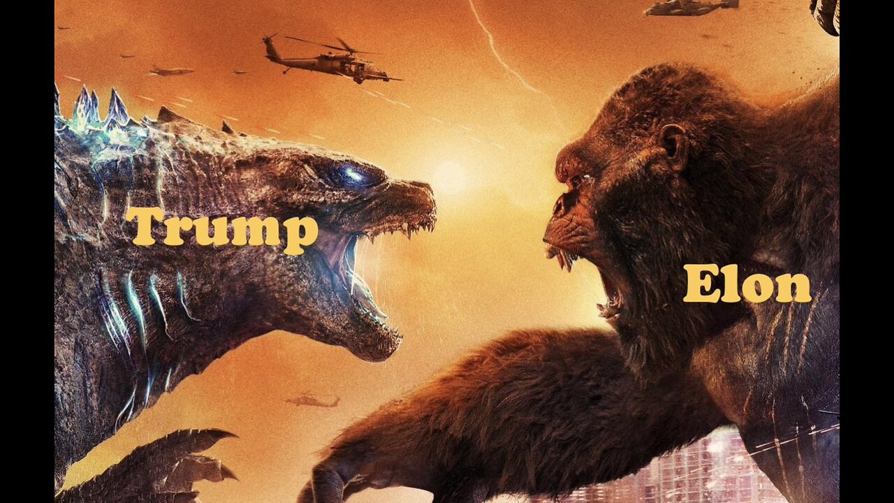 ELON VS TRUMP - WHAT'S TRENDING