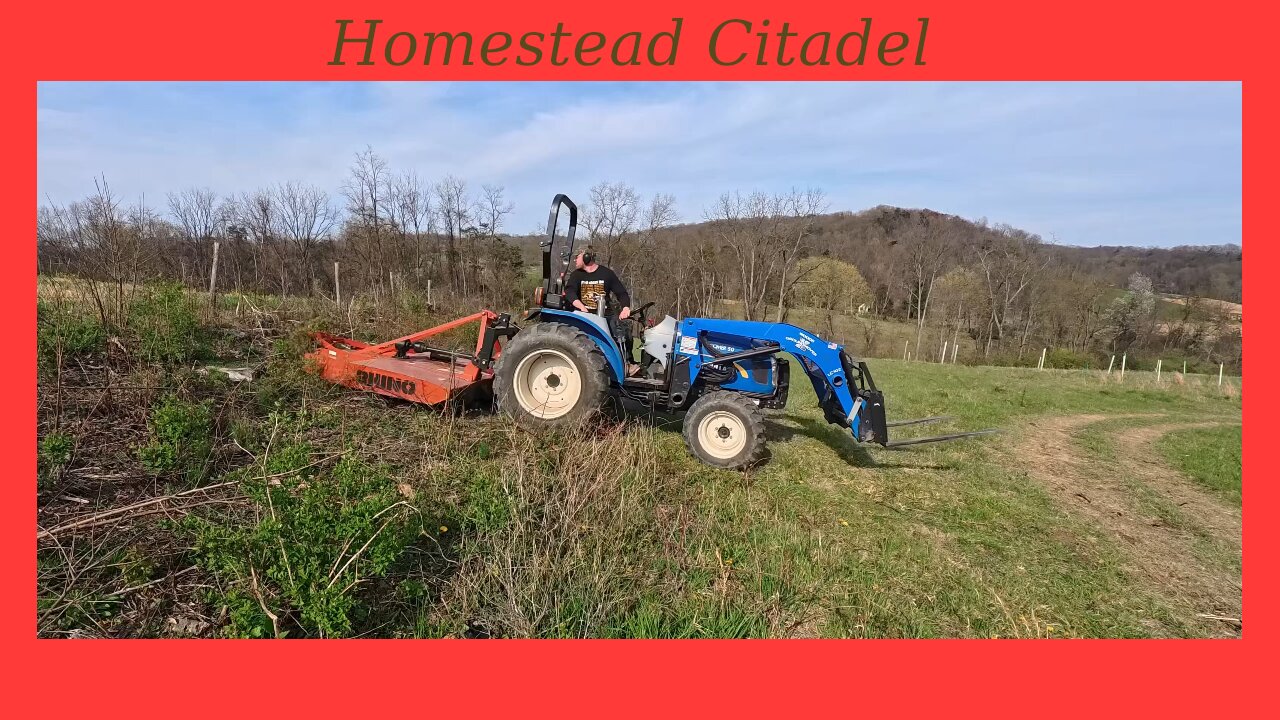 Fence-line Brush Hogging and Daily Dexter Cattle Move