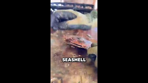 this boy found most expensive pearl #foryoufeed #foryou #art #funny #facts #rumble