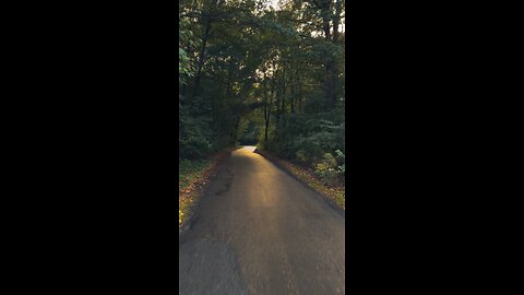 Pro Cyclist Ride on Forest Path 🚴‍♂️ | Camera, Air & Life #shorts