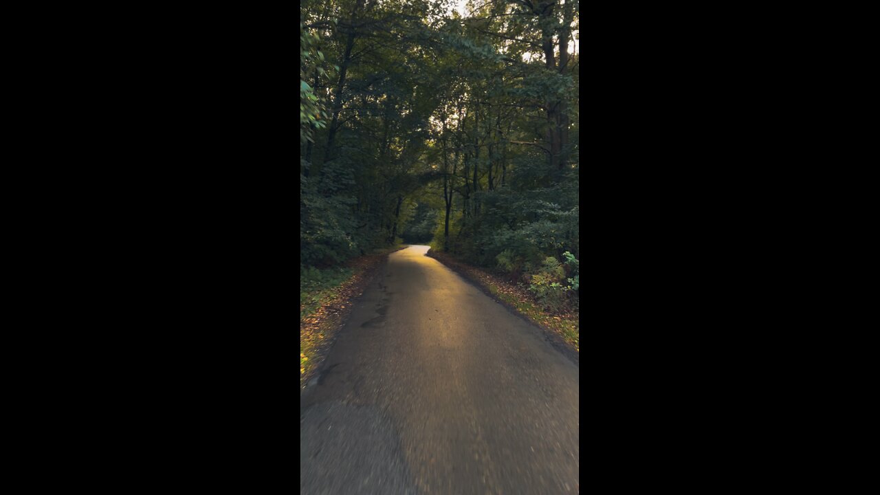 Pro Cyclist Ride on Forest Path 🚴‍♂️ | Camera, Air & Life #shorts